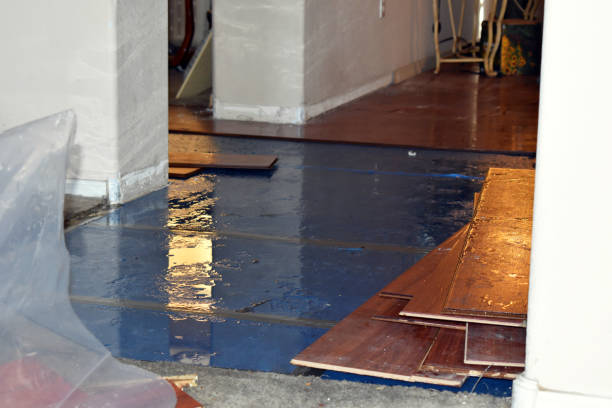 Professional Burst Pipe Cleanup technician working in McMechen, WV